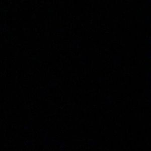 Meet your Posher, Ella